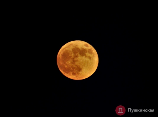 Как одесситы на берегу Черного моря красную суперлуну встречали. Фоторепортаж
