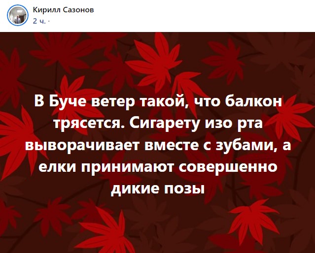Завірюха, падіння дерев, зірвані дахи і не тільки: негода захоплює Київ, Харків, Чернівці та Чернігів (фото, відео)