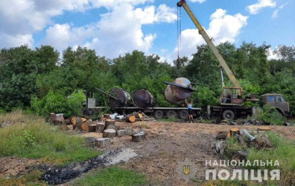 Спустя два года: в суд ушло дело о масштабной вырубке леса в Одесской области 