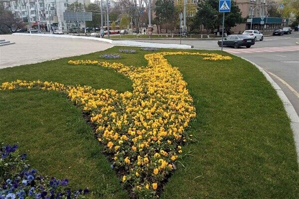 На площади 10 апреля появилась патриотическая цветочная композиция На площади 10 апреля появилась патриотическая цветочная композиция