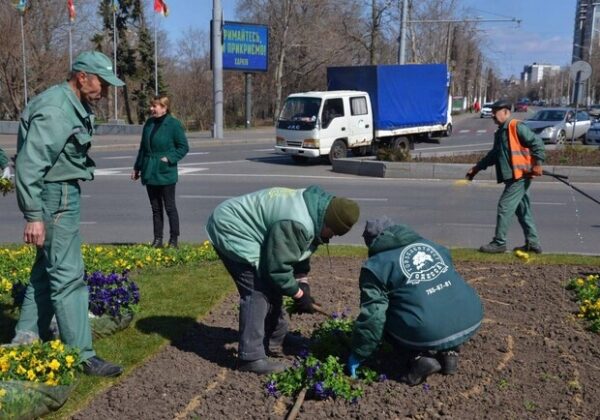 На площади 10 апреля высадили патриотические цветы 
