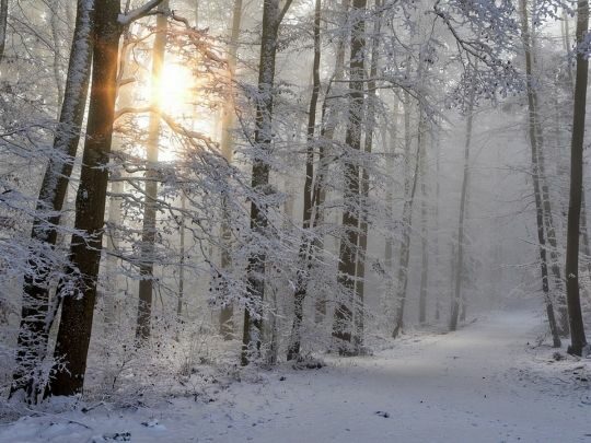 Вночі&nbsp;&mdash; до&nbsp;9 морозу: синоптики розповіли про погоду в&nbsp;Україні на&nbsp;вихідні