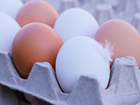 Протухлі яйця: як їх розпізнати в магазині