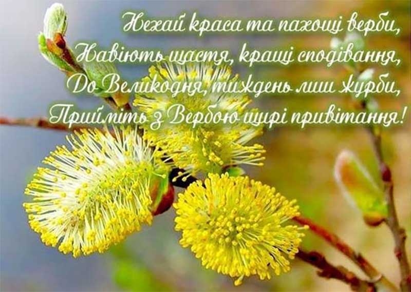 З Вербною неділею: красиві привітання у віршах, прозі та картинках