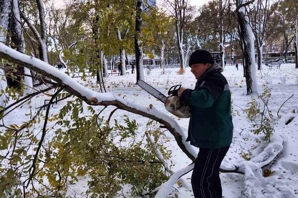 Непогода в Одесской области: какая обстановка на утро 28 ноября 