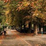 Тепло до +18 °С, но с дождями: какая погода будет в Одессе в эти выходные