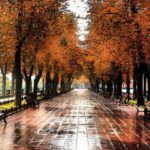 Какая будет погода в Одессе на выходные: прогноз на 1 и 2 ноября.