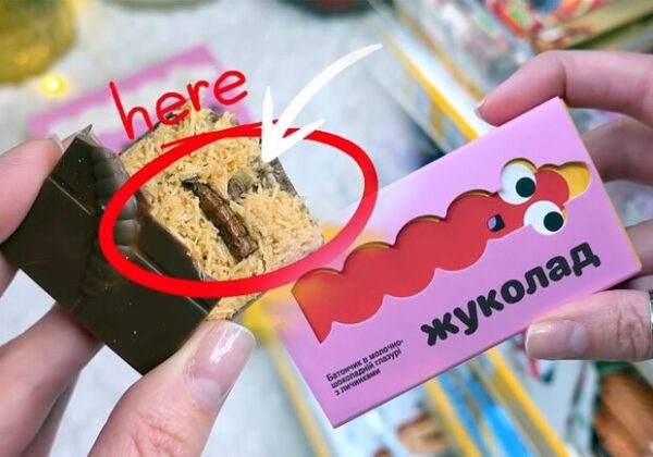 В Украине начали продавать шоколад с настоящими личинками жуков