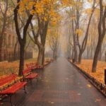 Считанные дни до зимы: какая погода будет в Одессе на этой неделе