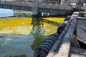 Из-за удара по порту на Одесщине в море попали тонны подсолнечного масла