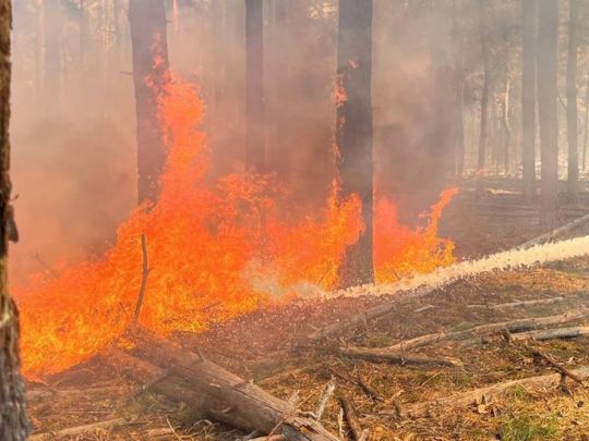 Масштабна пожежа у&nbsp;Чорнобилі: інспекція повідомила про рівень радіації (фото)