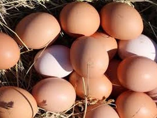 Секрет свіжих яєць: де&nbsp;їх&nbsp;не можна тримати ні&nbsp;в&nbsp;якому разі
